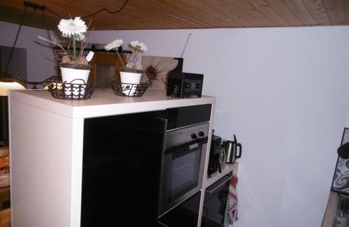 Tauberbischofsheim Apartment | Vacation apartment (75sqm) with outdoor pool
