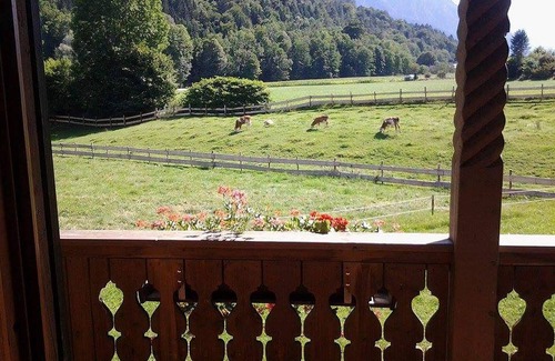 Weissbach Apartment | Vacation apartment 4 with balcony and mountain view, 35 m², 1 bedroom