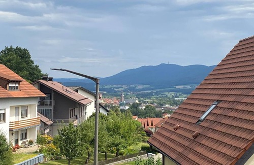 Furth im Wald Apartment | Vacation apartment (69sqm) with beautiful terrace