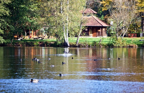 Ludwigswinkel Apartment | Vacation apartment Felsenland