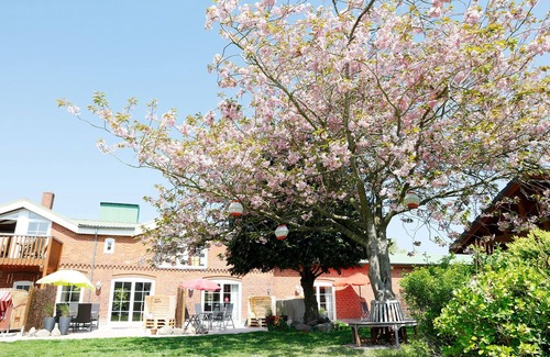 Lemkendorf Apartment | Vacation apartment/apartment for 3 guests with 40m² in Fehmarn (265783)