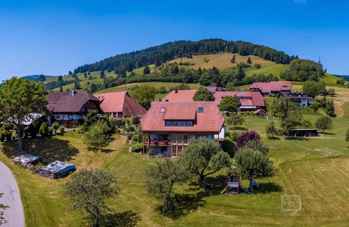 Frohnd Apartment | Vacation apartment/apartment for 6 guests with 70m² in Fröhnd (129245)