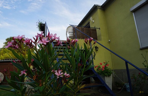 Letschin Apartment | Vacation apartment at the edge of the field