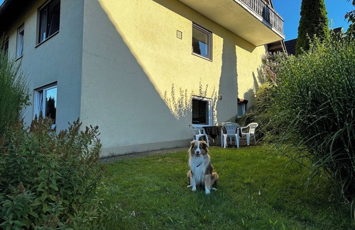 Sendelbach Apartment | Vacation apartment Am Romberg
