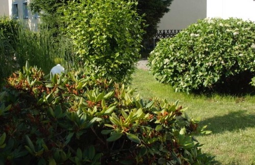Senftenberg Apartment | Vacation apartment Lausitz Sehn II - Holiday property Lausitz Sehn