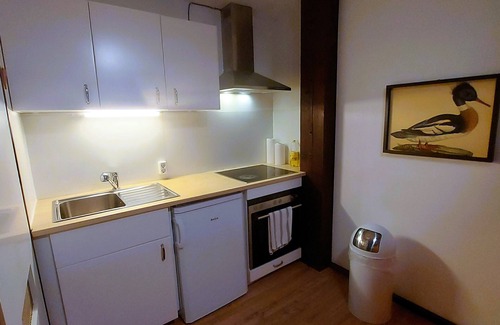 Vorauf Apartment | Vacation apartment Haus Seidelbast with balcony and leisure facilities