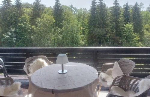 Vorauf Apartment | Vacation apartment Haus Seidelbast with balcony and leisure facilities