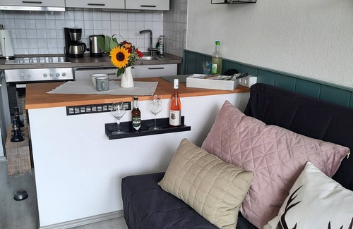 Hildfeld Condo | Vacation apartment "Kleine Heimat" Winterberg Hildfeld - hiking, biking, skiing -