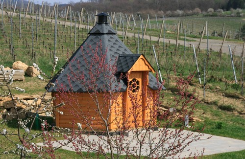 Mauchen Apartment | Vacation at the winery