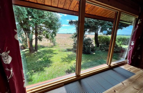Beilrode House | Vacation home for 12 guests with 120m² in Beilrode OT Döbrichau (172727)