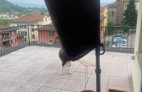 Serravalle Scrivia Apartment | Vacation home Abbey