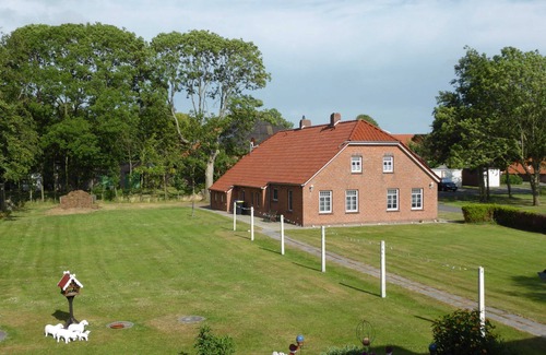 Damsum Apartment | Vacation home 23 Lindenboom - W-23.1 - Holiday home 23 Lindenboom - W4