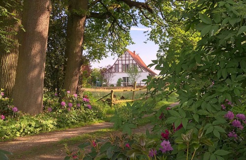 Dorenthe Apartment | Vacation home Anton Schmitz Anno 1895