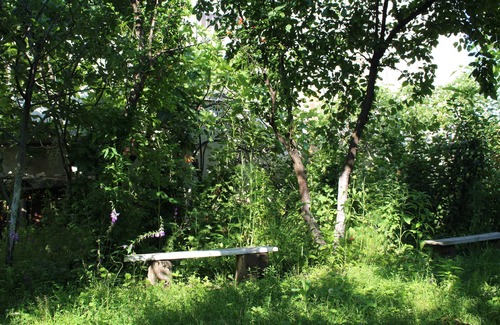 Telavi House | Vacation home Ekaterine