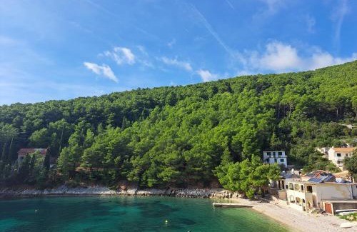 Bogomolje House | Vacation home in Pelinovik bay