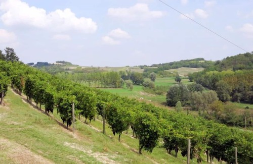 Montemagno House | Vacation home La Mondianese (AST310) in Asti - 7 persons, 4 bedrooms