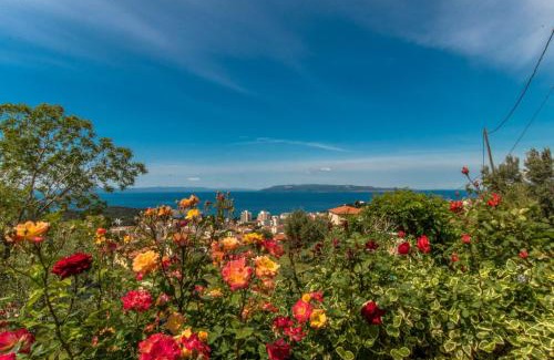 Moca House | Vacation Home Petar