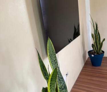 Vieille Case Apartment | Vacation Rental