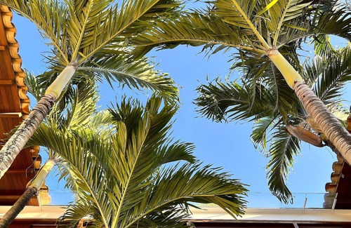 Ferradurinha House | Vacation rentals at Ferradurinha Beach in Búzios - Buz013