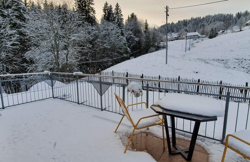 Blasiwald Apartment | Vacation with dog away from the forest near Schluchsee