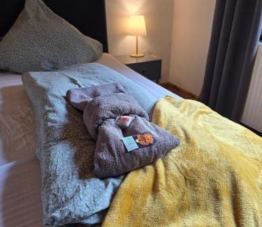 Groenebach Apartment | Vakantie Service Winterberg Studio Sels