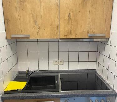 Groenebach Apartment | Vakantie Service Winterberg Studio Sels