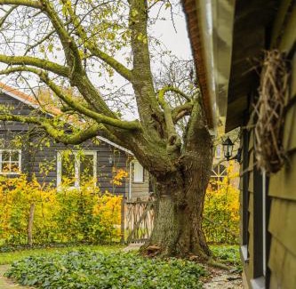 Sevenum House | Vakantiehuis De Bonte Specht