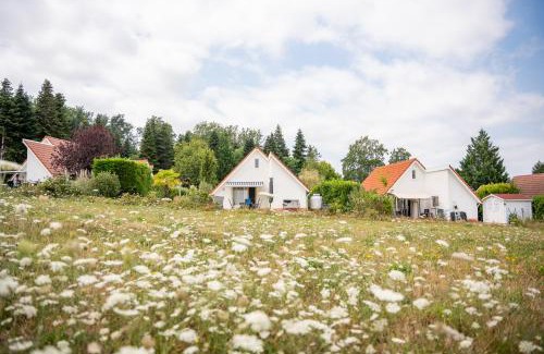 Daumazan-sur-Arize House | Vakantiepark Chateau Cazaleres