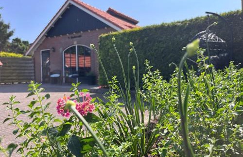 Volte House | Vakantiewoning 't Linderveld