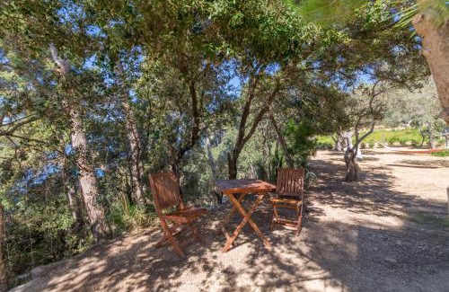 Valldemossa House | Valldemossa - 2813-88 Mallorca