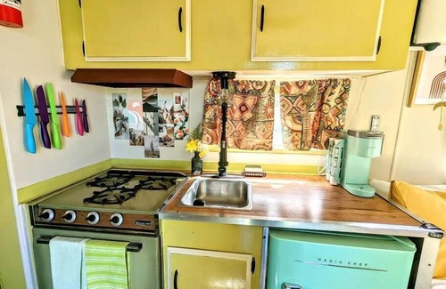 Pauma Valley House | VCT#1 The Real Teal - Vintage Camper -Glamping W/Lake Views