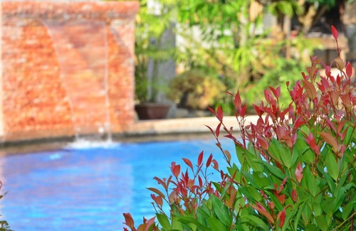 Looc Resort | Veraneante Resort