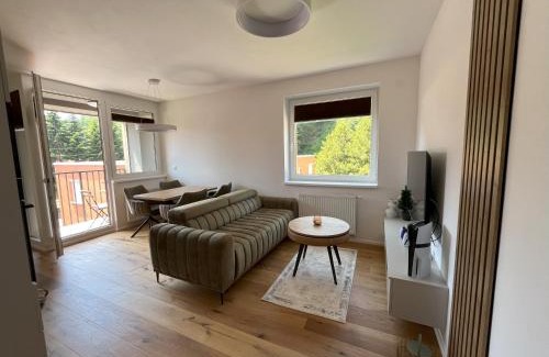 Svoboda nad Upou Apartment | Verde Apartment