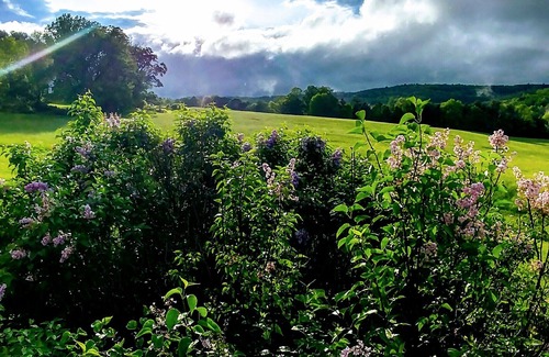 Windsor Cabin | Vermont cabin on 20 acres in open field