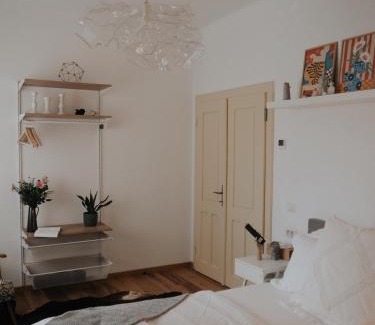 Alba Iulia House | Verte House
