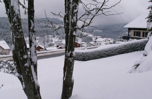 Gerardmer Apartment | Very beautiful chalet-style studio with lake view near the ski slopes for 2 people 1 child