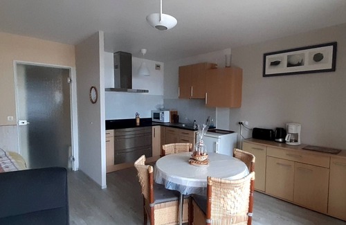 La Trinite-sur-Mer Apartment | Very pleasant studio with large terrace facing the sea