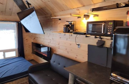 Golden Lake Cabin | Very Private, Secluded, Nature, Pet Friendly, NO NEIGHBOURS -Red Pine cabin