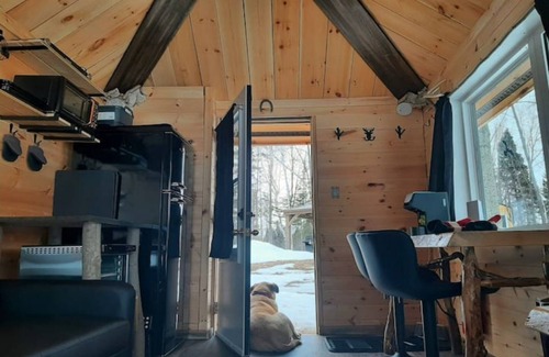 Golden Lake Cabin | Very Private, Secluded, Nature, Pet Friendly, NO NEIGHBOURS -Red Pine cabin