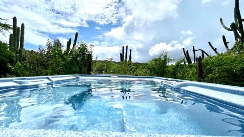 Savaneta Apartment | Very quiet apartment with lots of privacy and a tub on the edge of a national park!