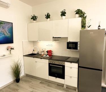 Szekesfehervar Apartment | VIBE S31 Apartman ,AC,Free Parking