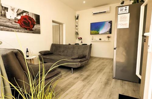 Szekesfehervar Apartment | VIBE S31 Apartman ,AC,Free Parking