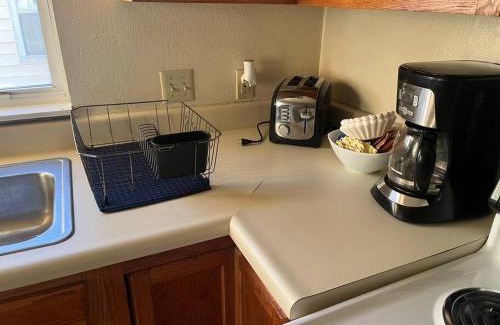 Mount Pleasant Apartment | Vibrant 2 Bed Located Downtown Close to Soaring Eagle CMU