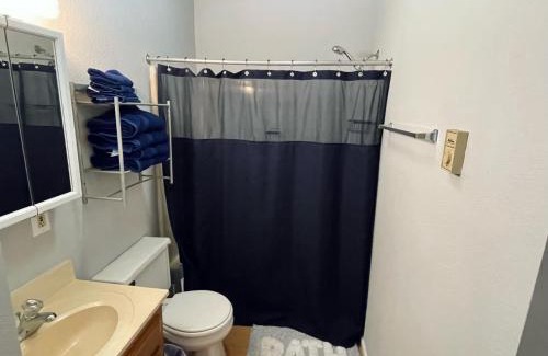 Mount Pleasant Apartment | Vibrant 2 Bed Located Downtown Close to Soaring Eagle CMU