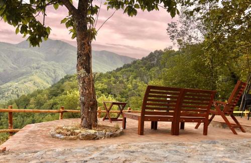 Mologno Villa | Vicinato Homestead