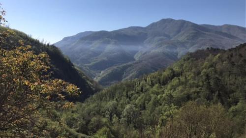 Mologno Villa | Vicinato Homestead