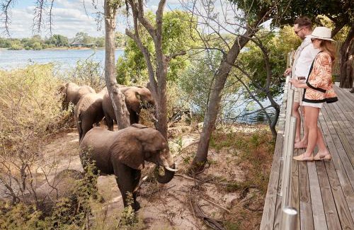 Victoria Falls Cabin | Victoria Falls River Lodge