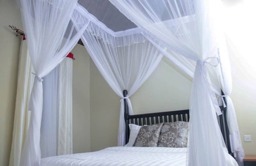 Kalangala Resort | Victoria Forest Resort Bugala Ssese Island