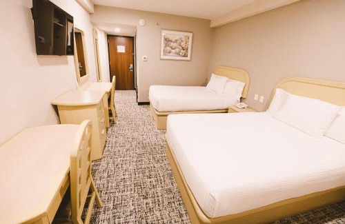 Zona Centro Hotel | Victoria Inn