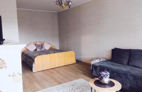 Taurage Apartment | Vieno kambario butas Gedimino g.
